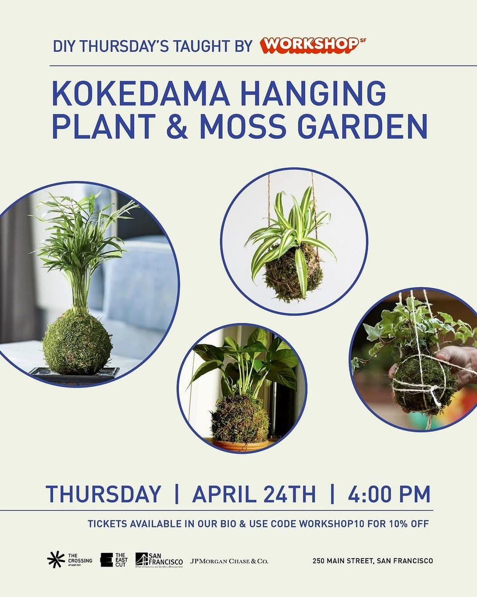 caring for kokedama