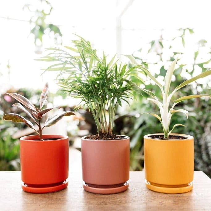 Kitchen herb garden with disco ball planters