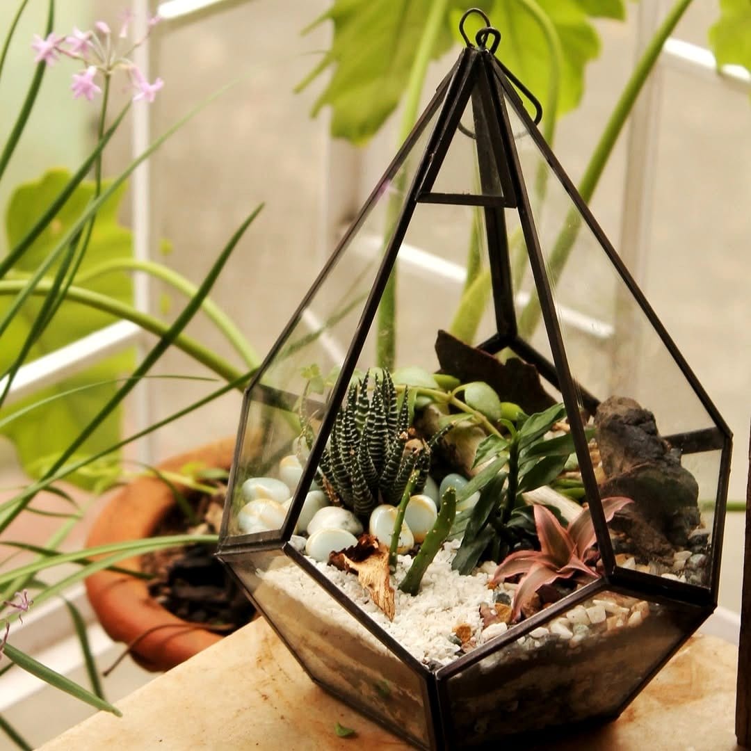 geometric plant pots with succulents