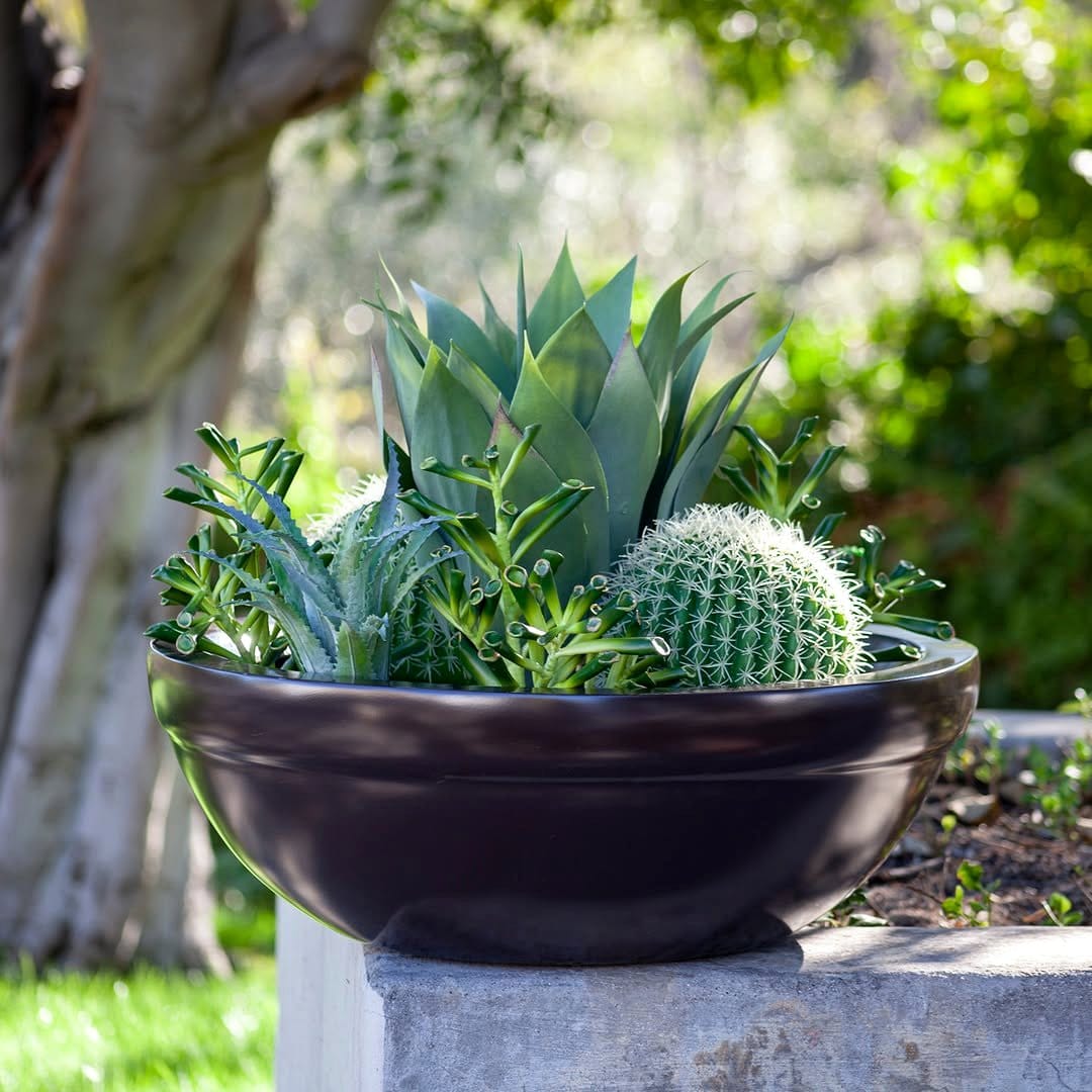 low bowl fiberglass planter on dining table