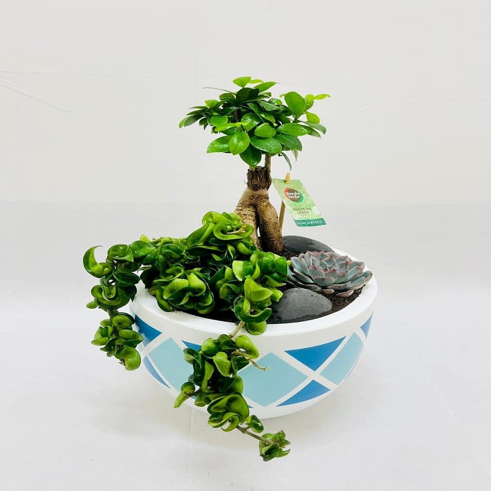 Bamboo corner shelves with cascading greenery