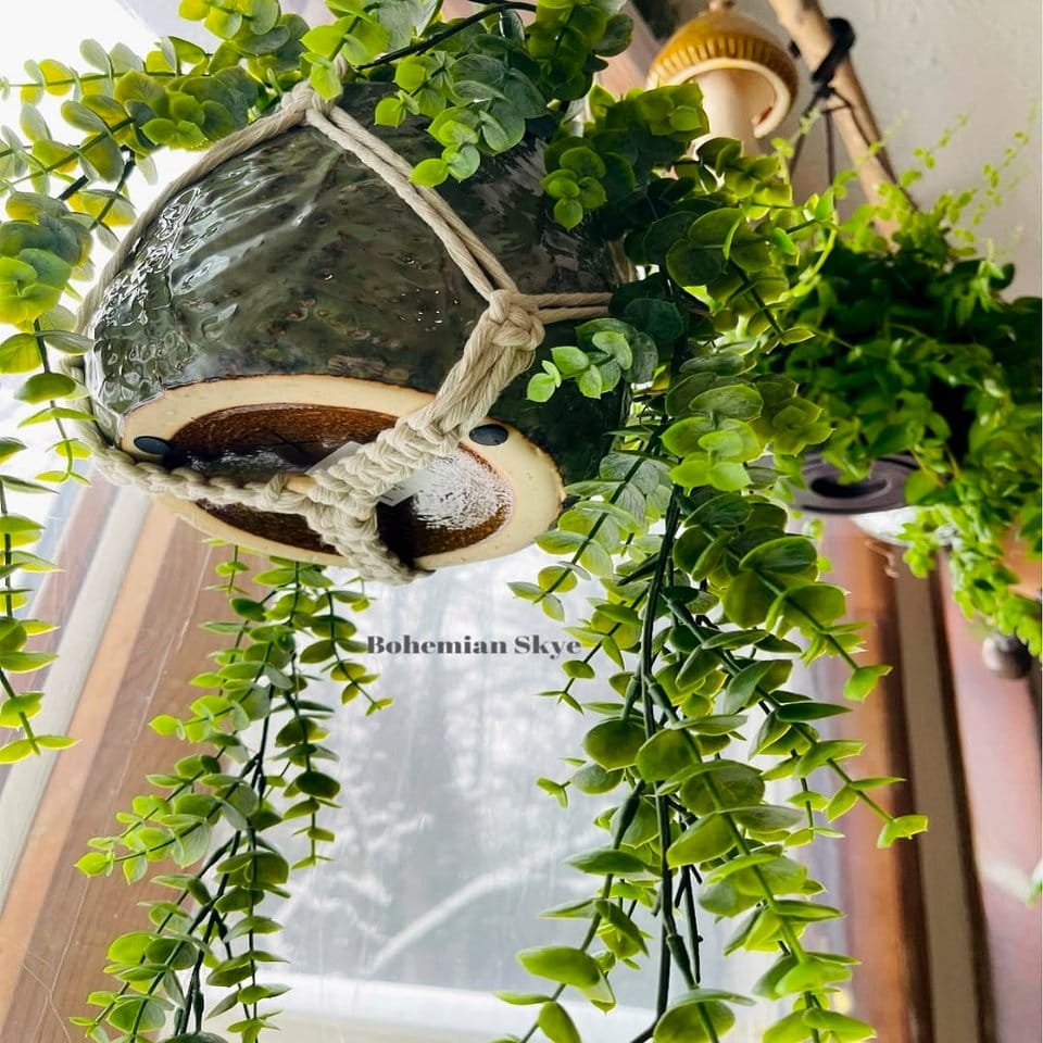 Boho plant hangers with dreamcatcher elements