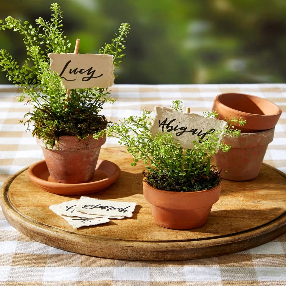 Assorted herb plants in colorful kitchen pots