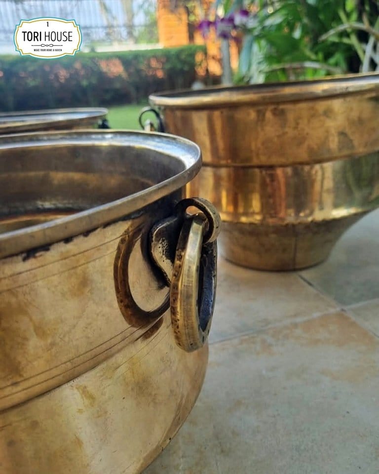 Antique brass plant stands with pots
