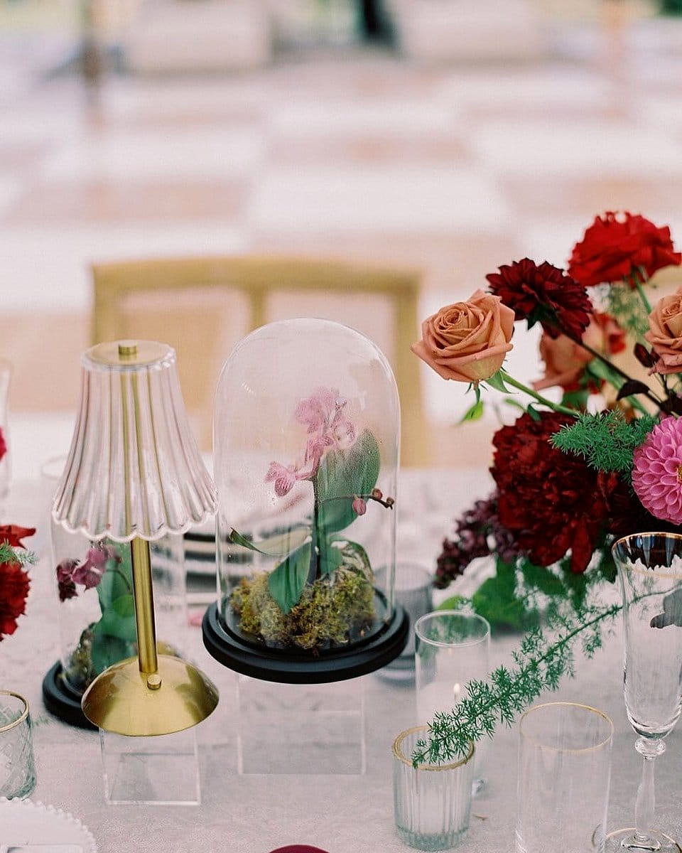 Vibrant jewel-toned plant arrangements