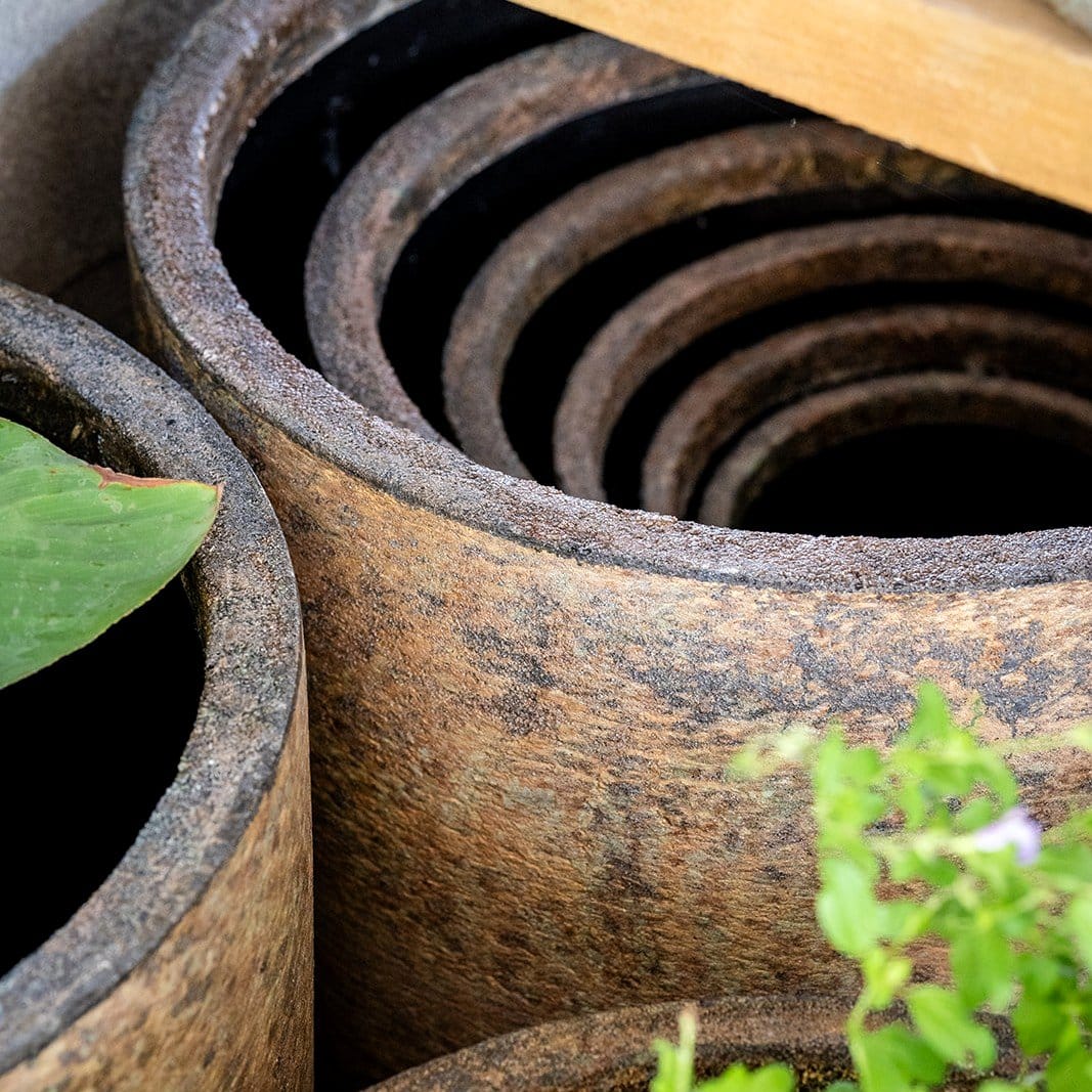 assorted pot sizes with greenery