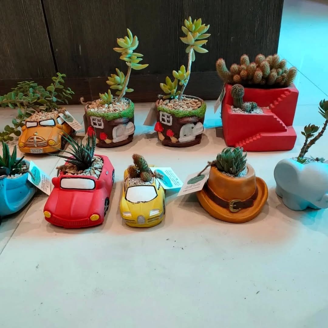 Artistic succulent arrangement along a table centerpiece