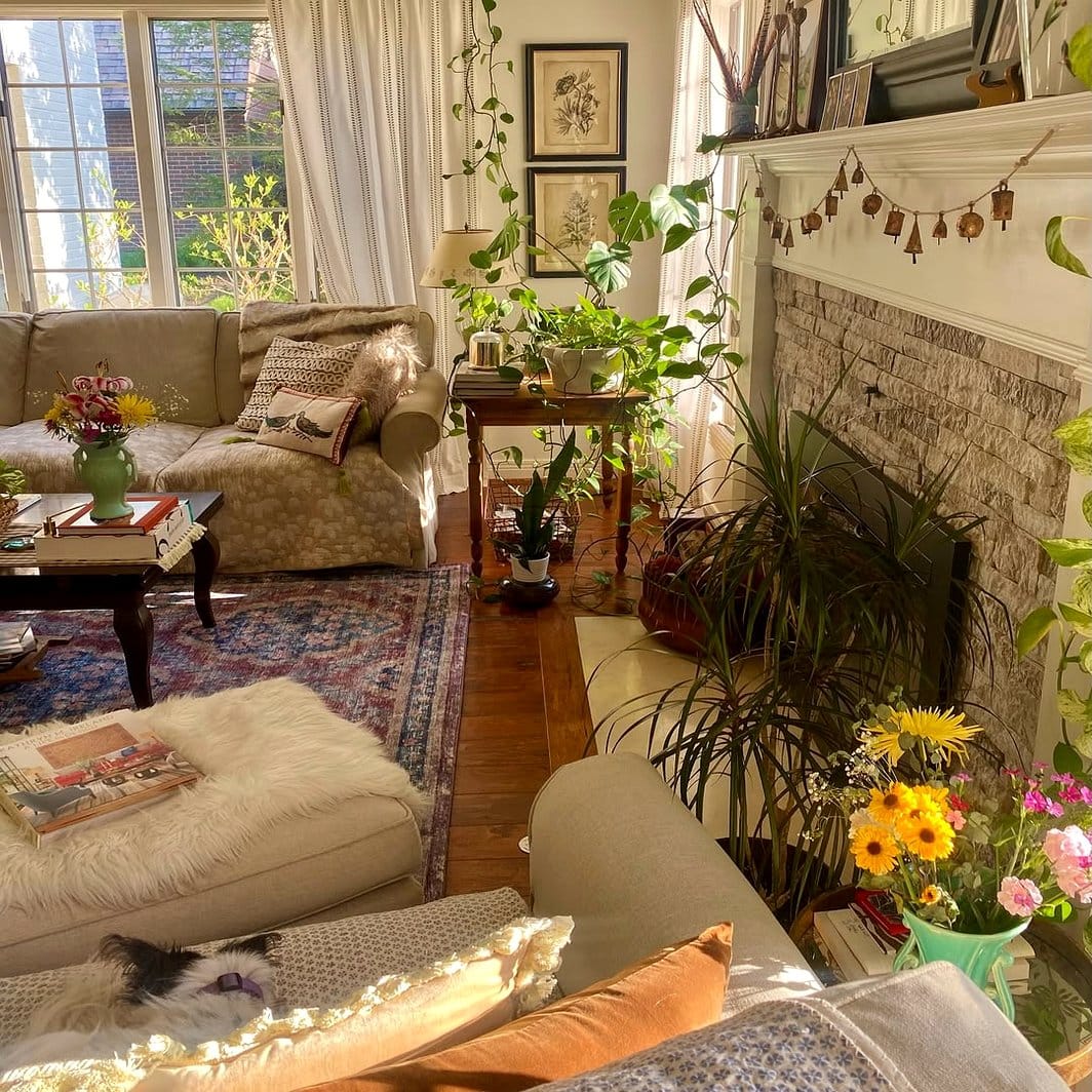 Botanical prints and velvet drapery