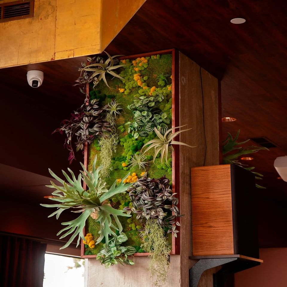 Unique glowing moss planter arrangement