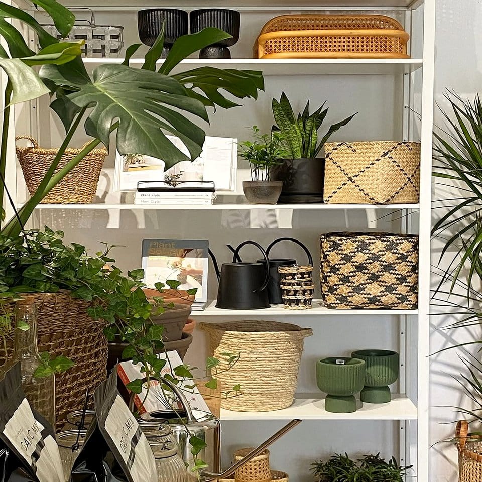 Handmade woven basket plant holders