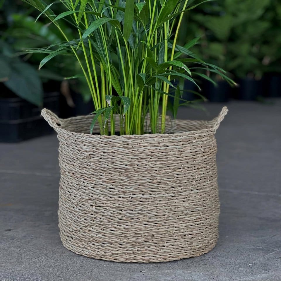 Woven natural fiber baskets as plant holders
