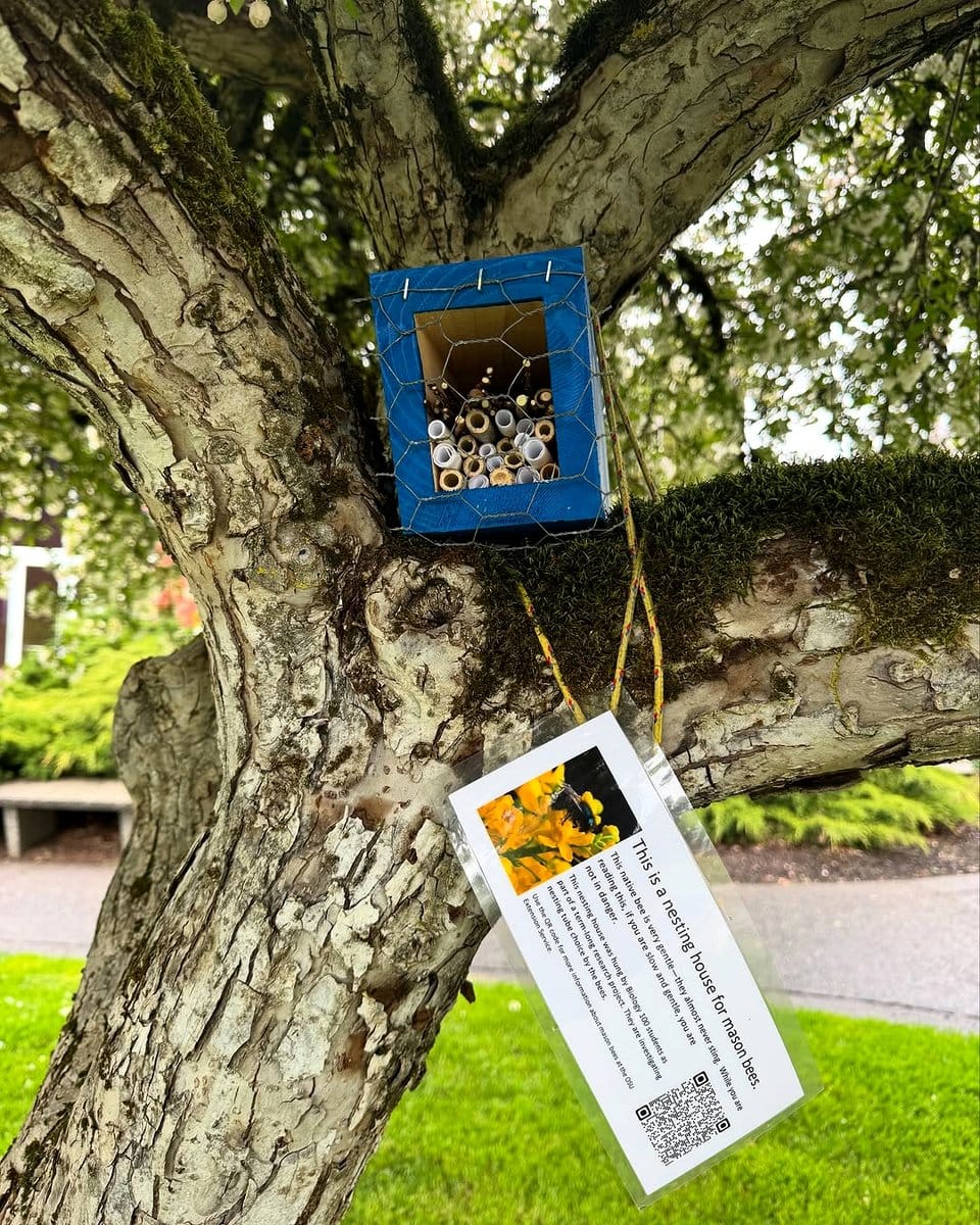 decorative bee hotel in garden
