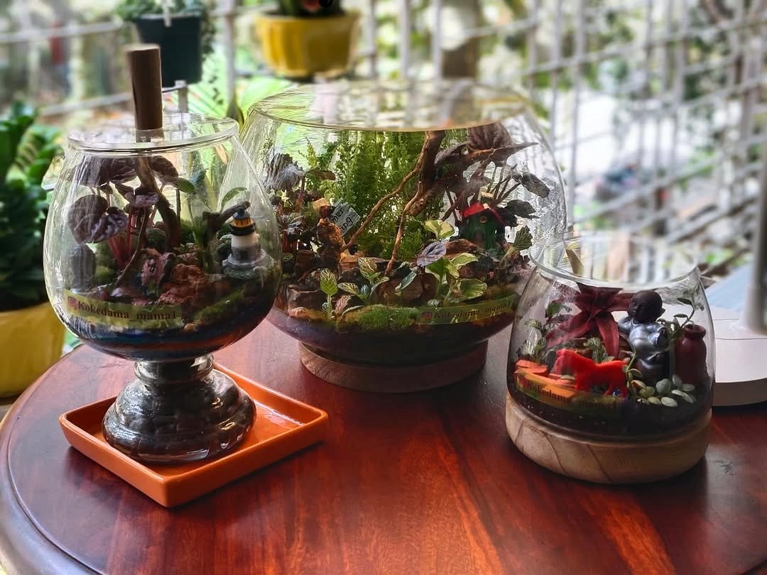 Glass fishbowl fern terrarium with pebbles