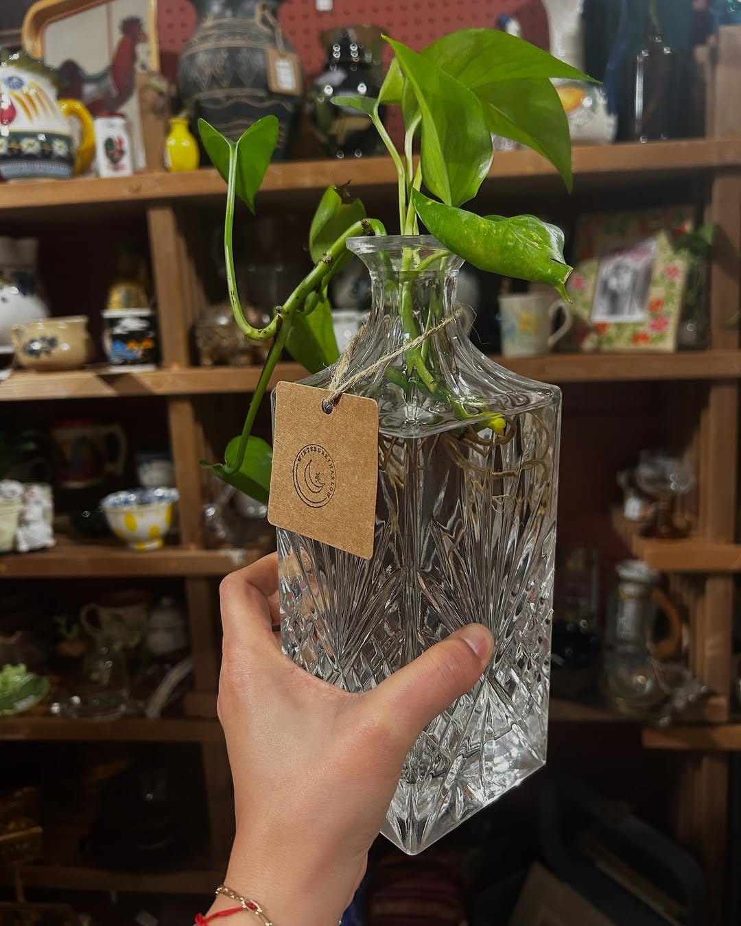 Vibrant pothos in clear glass jar