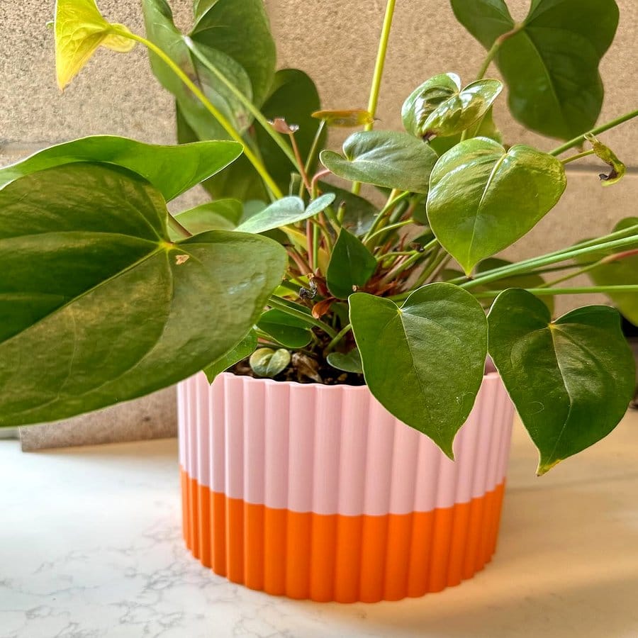 Nautical-themed painted plant pot with anchors