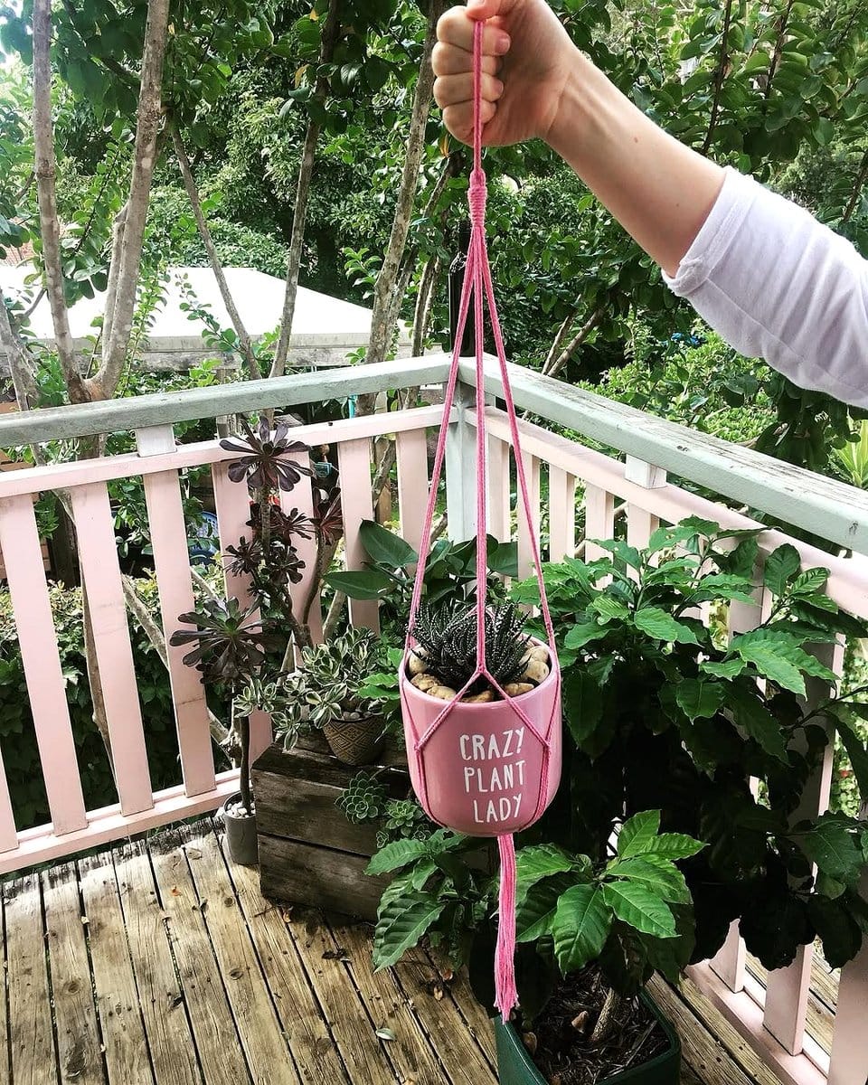 DIY hanging plant tapestry with macramé