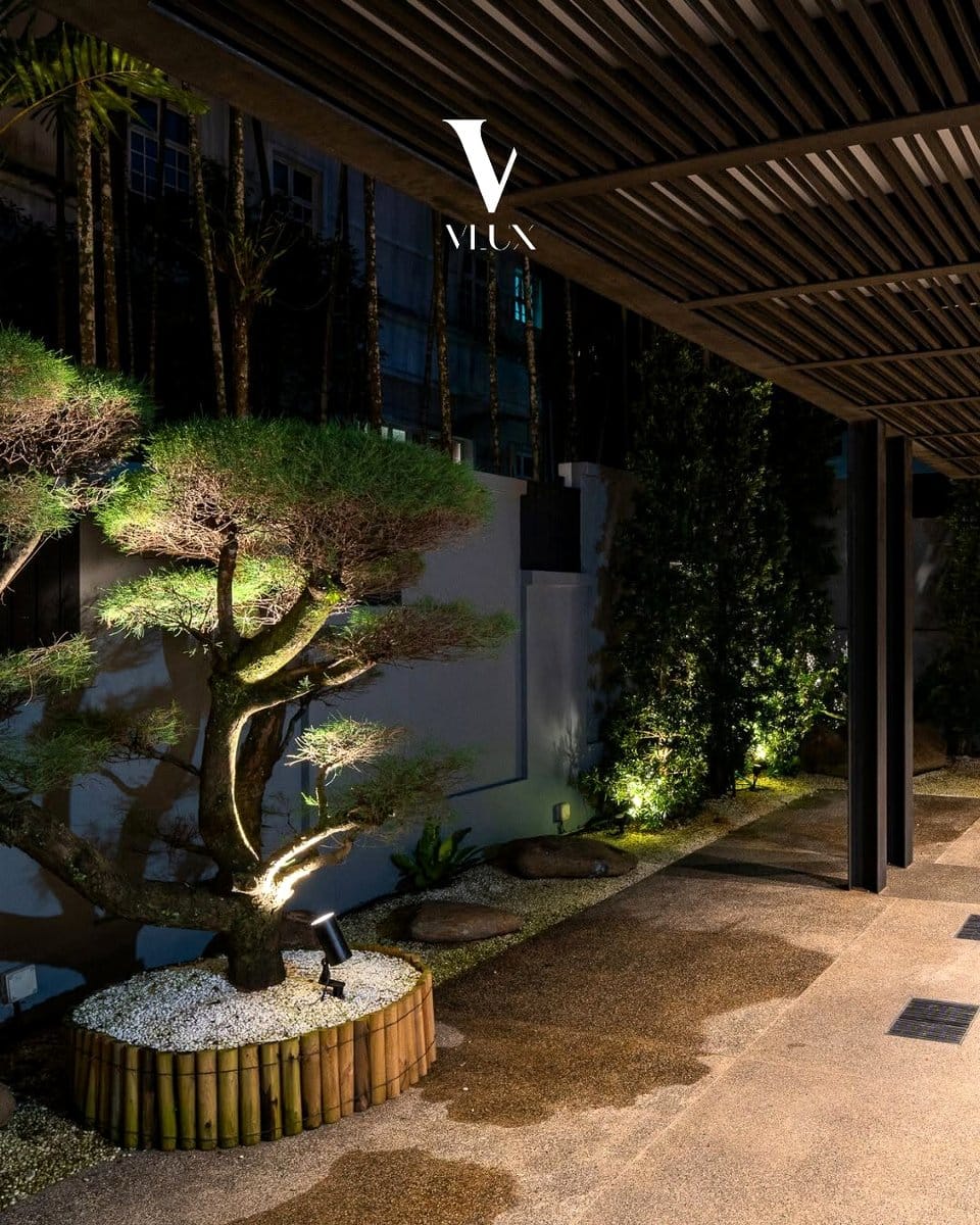 lush indoor plants with uplighting