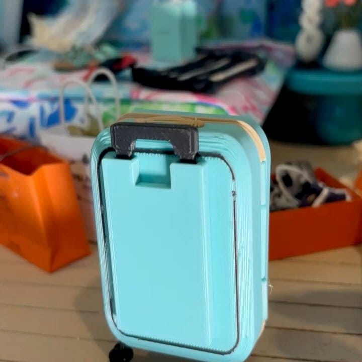 mini suitcase with fairy garden