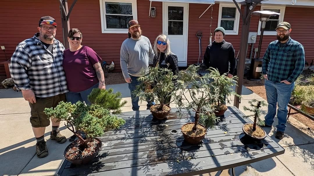 bonsai workshop with mentor