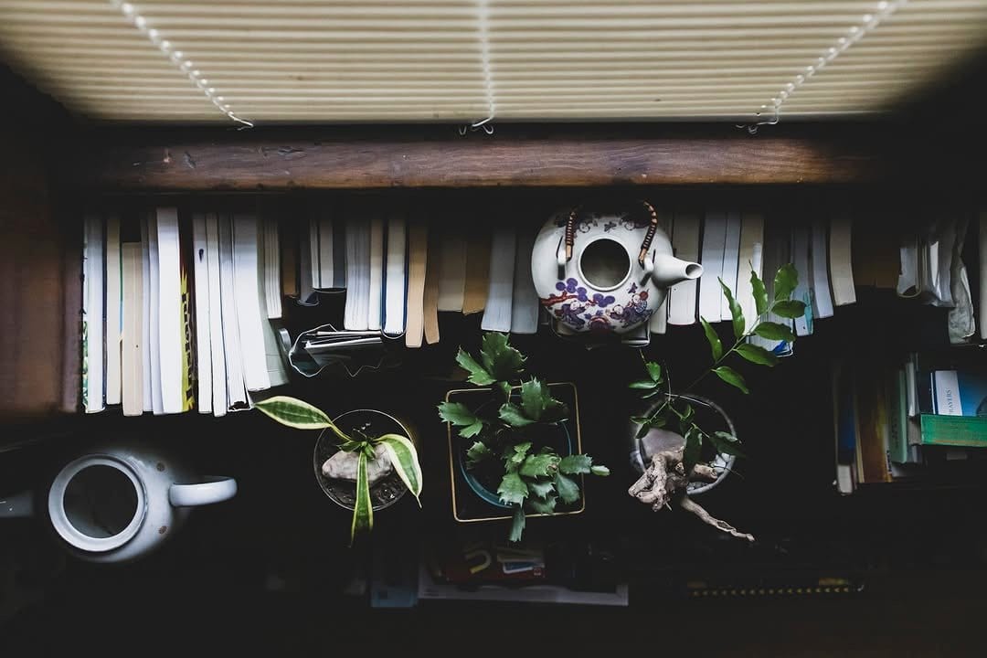 home office with plant shadows on desk