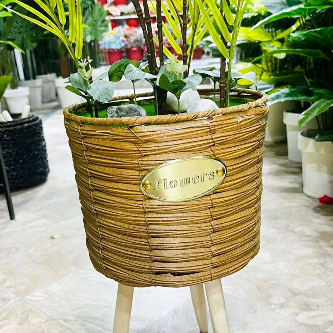 mini palm in woven basket