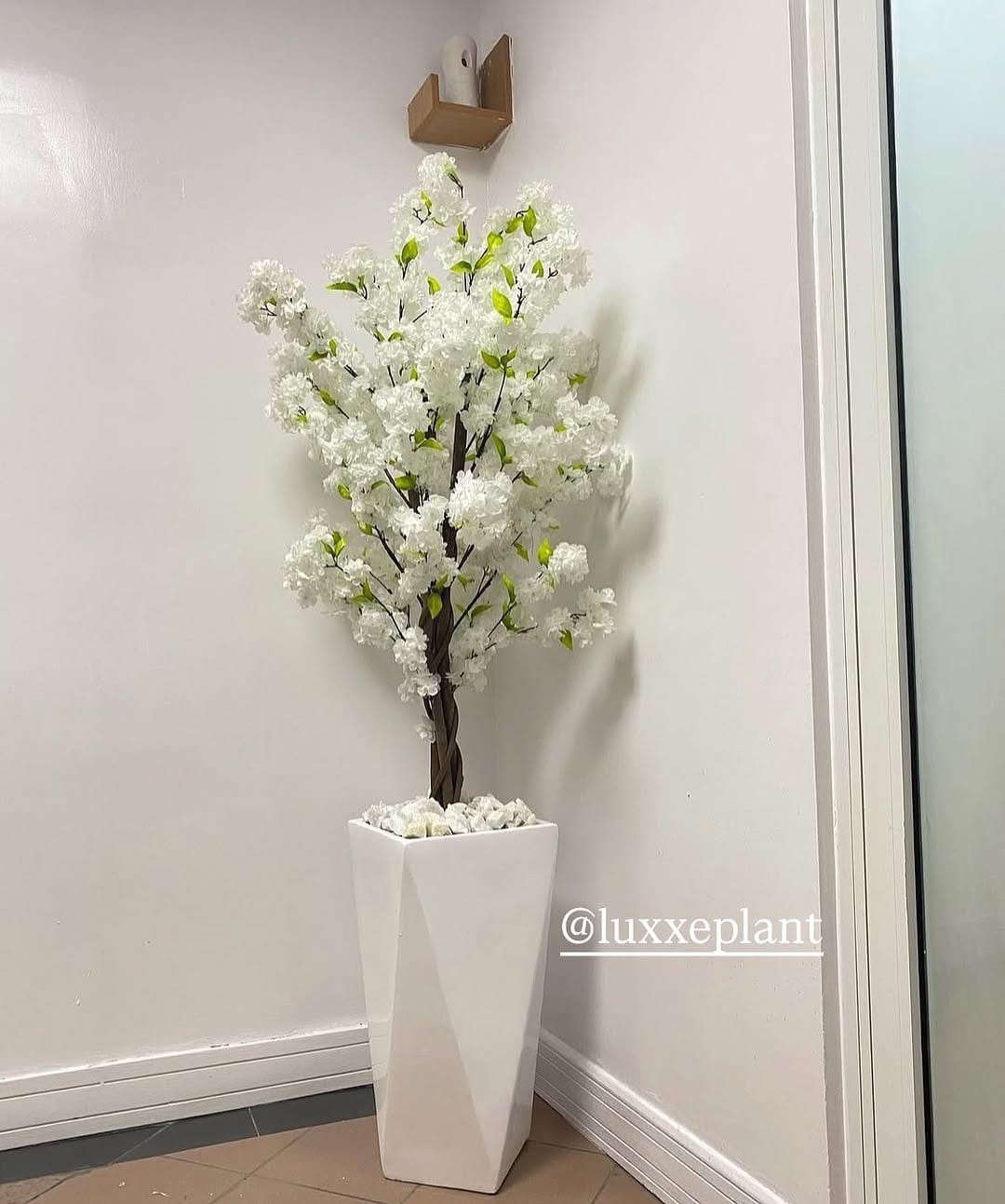 Elegant red yucca in ceramic vase