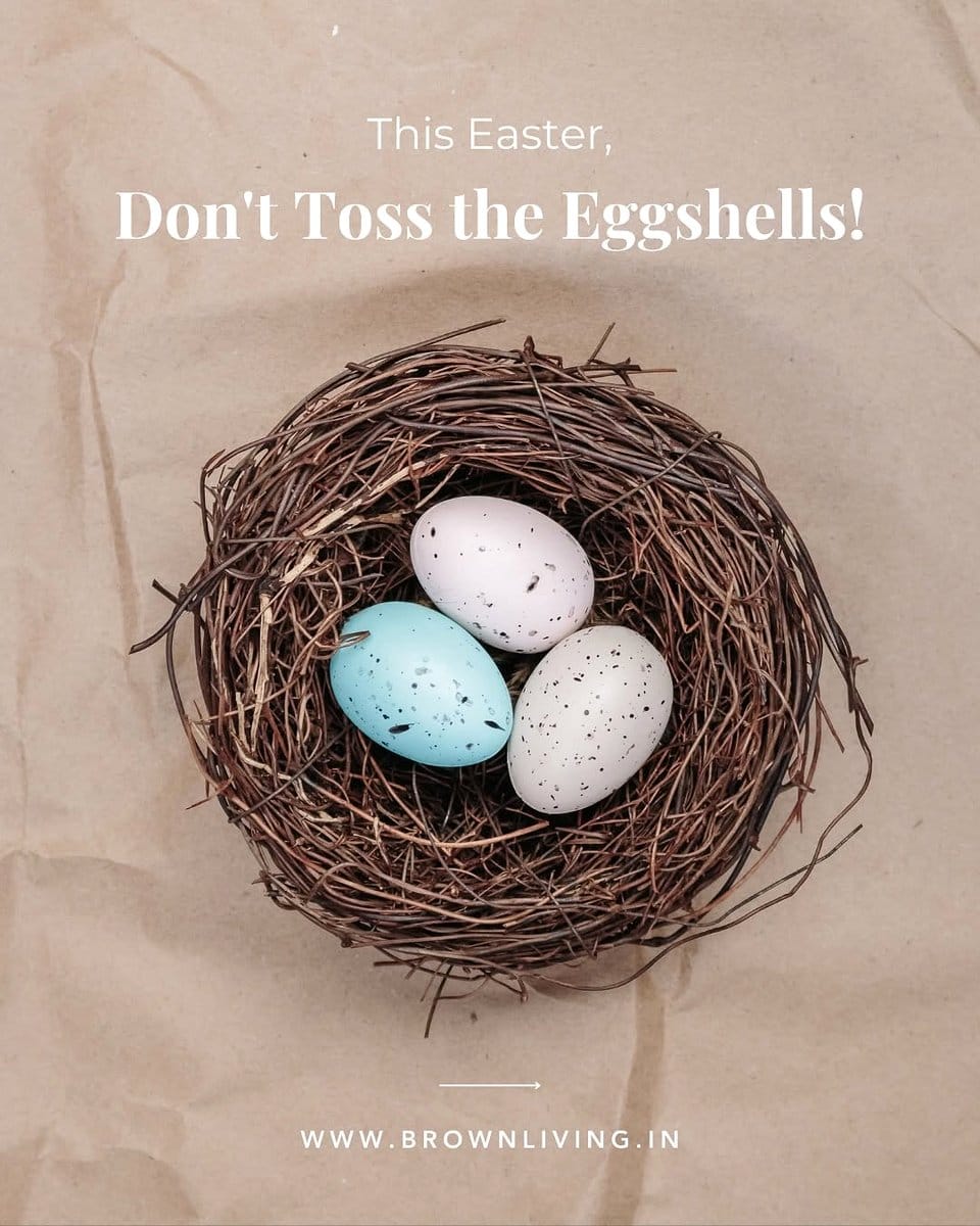 crushed eggshells on compost heap