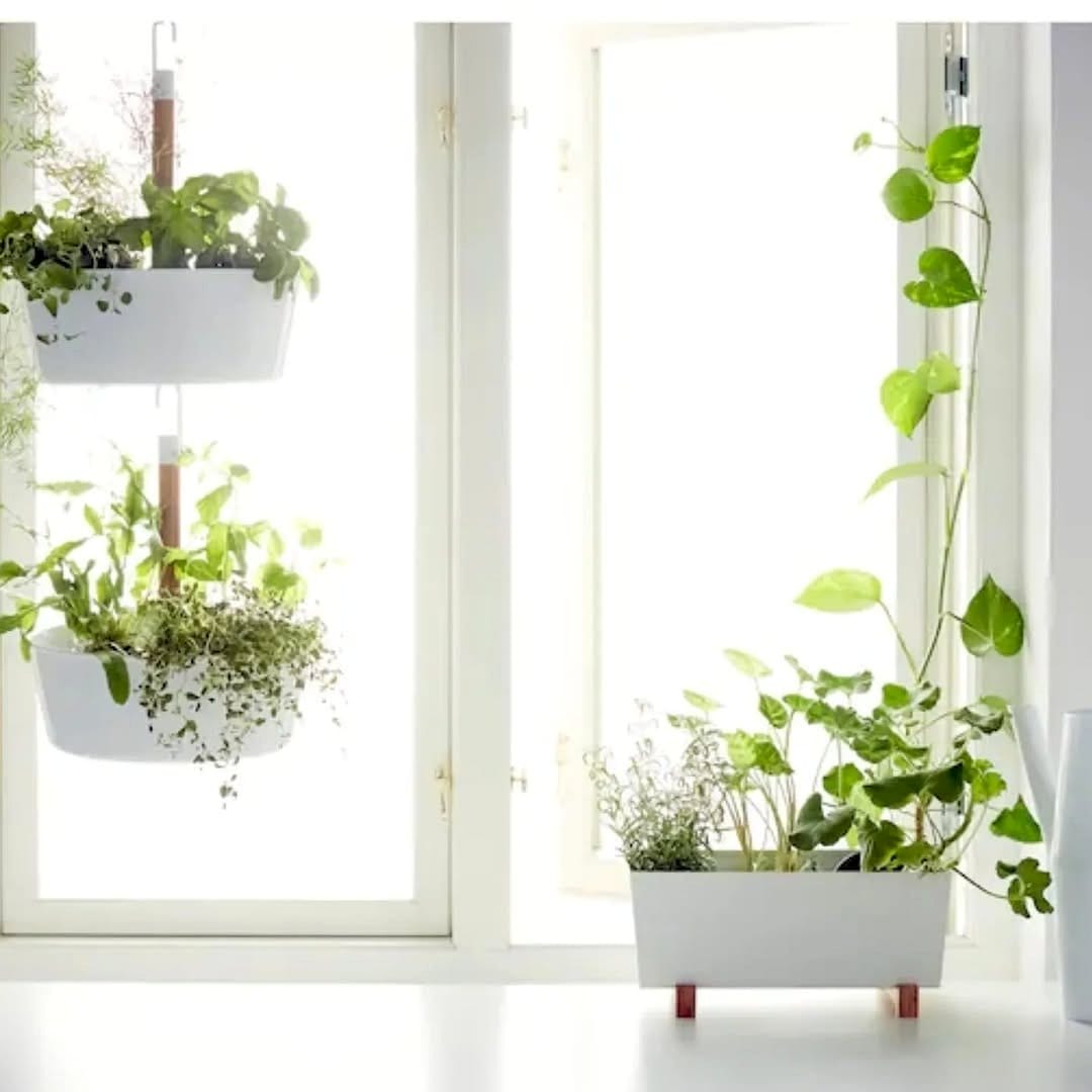Bamboo window sill plant shelf with herbs