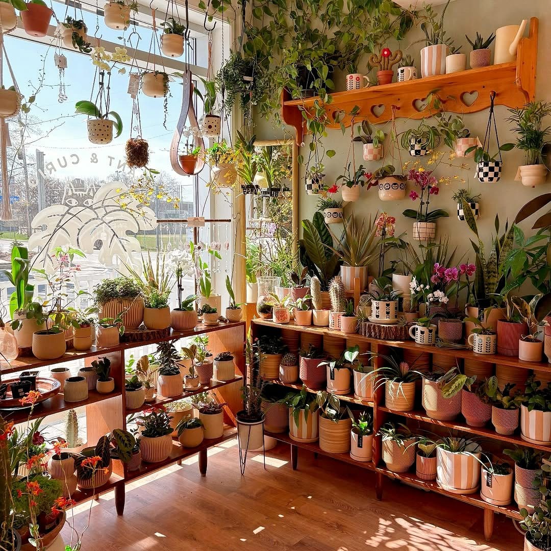 Cactus and rope curtain tiebacks with plants