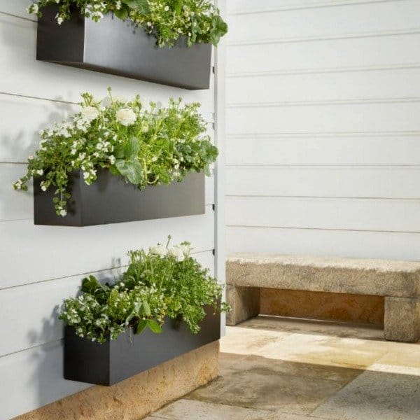 Mandolin as window box planter