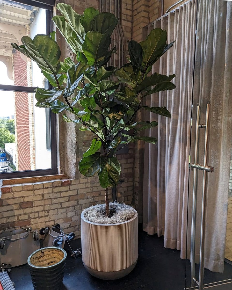 desk with integrated plant holders