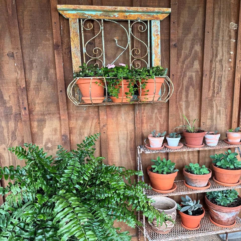Antique skull planter with wildflowers