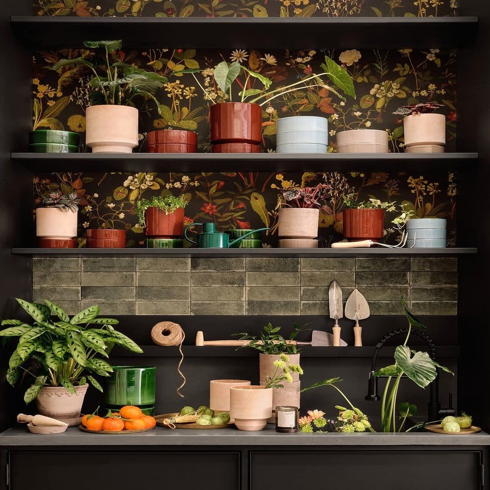 Kitchen countertop with potted herbs in clay pots