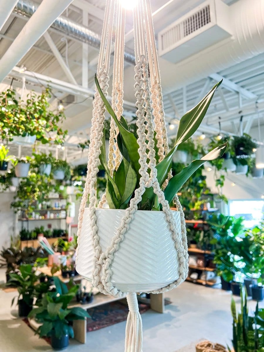 macrame hanging planter