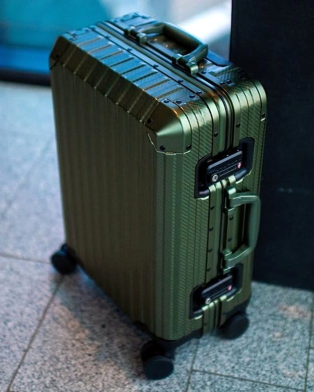 metal suitcase with cacti