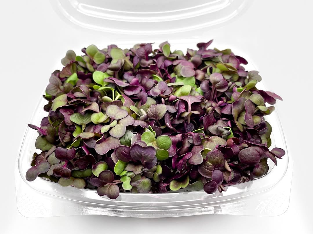 colorful amaranth microgreens in a clear bowl