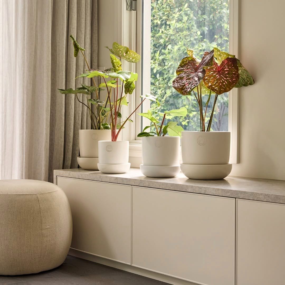 Versatile ottoman with built-in plant holder