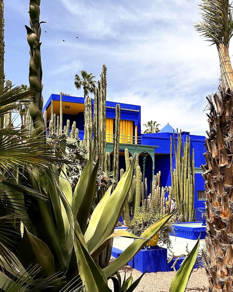 Layered Moroccan textiles under plants