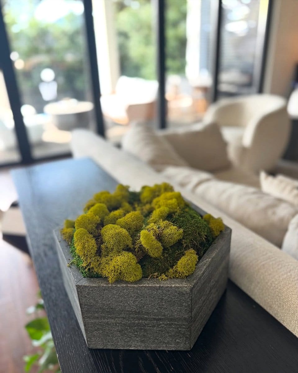 window box in living room