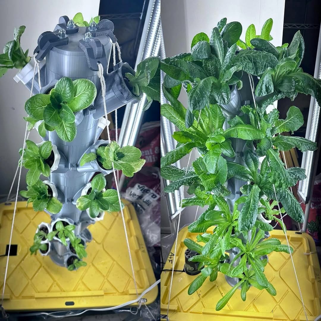 hydroponic herb system on island