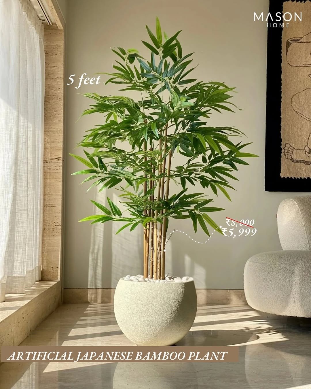 Tall bamboo palm in corner nook
