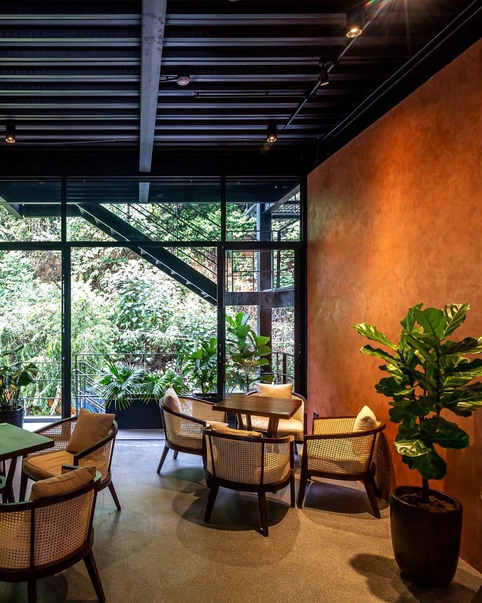 conference room with air-purifying plants