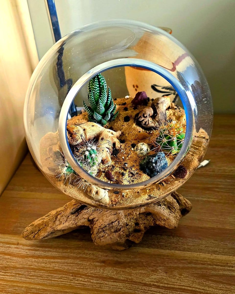 coastal-themed terrarium