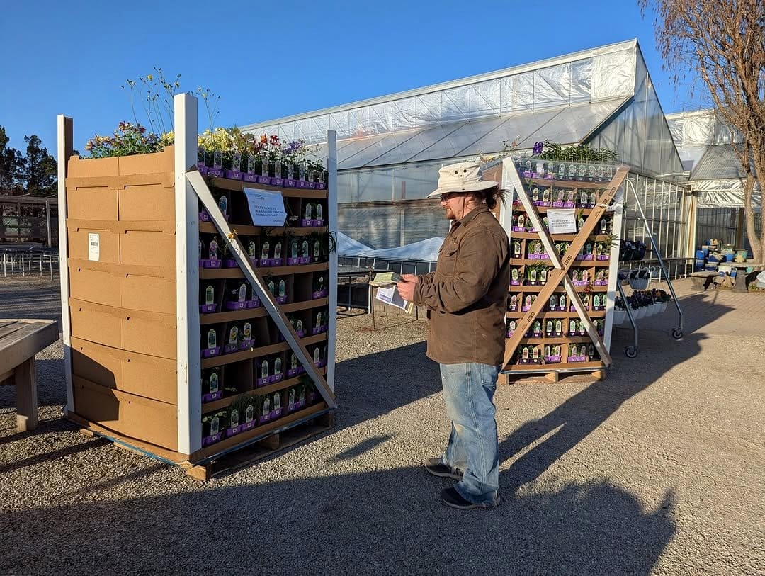pallet garden divider with vibrant flowers