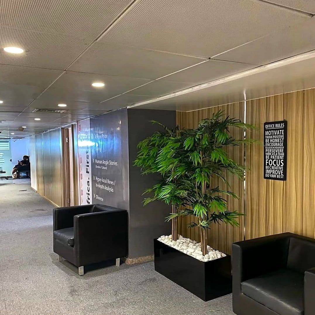 Identical bamboo planters flanking a doorway