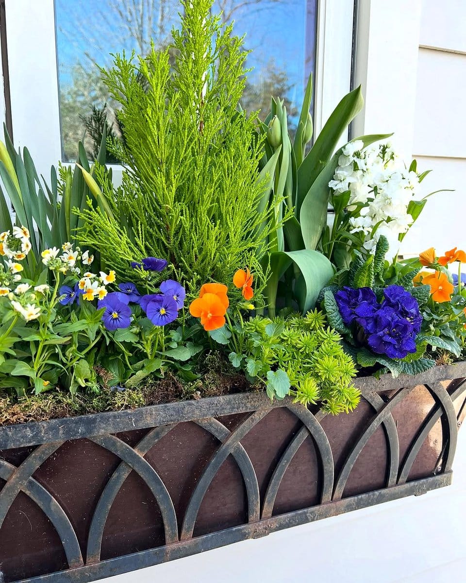 triangular planters on windowsill