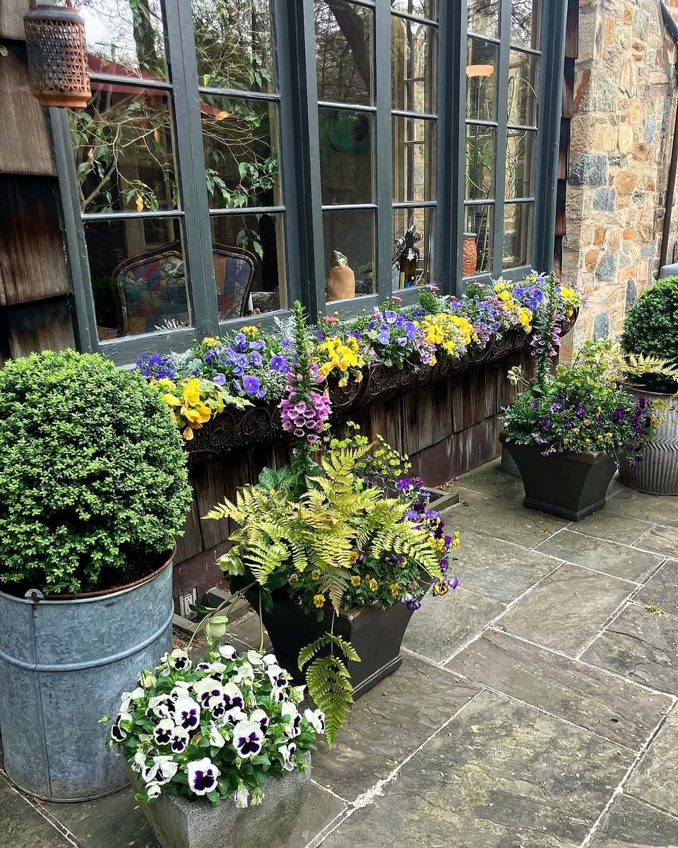 seasonal flowers in pots