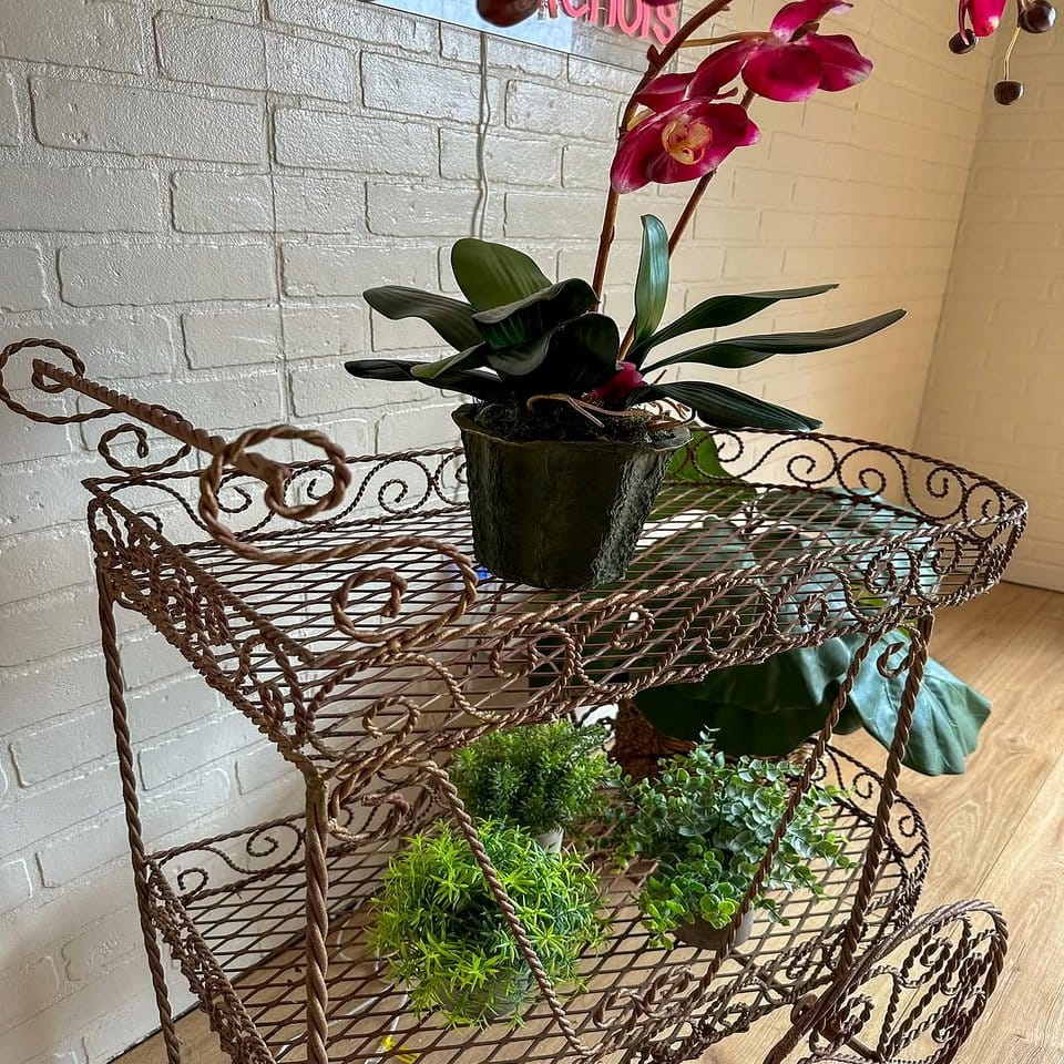 Vintage wrought iron plant stand with succulents