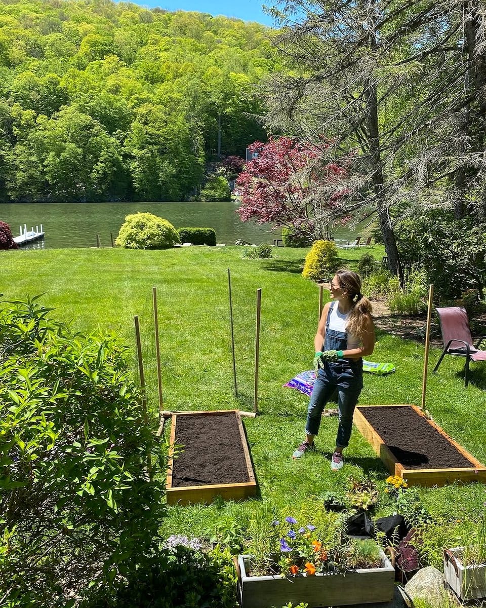 garden ladder with outdoor plants