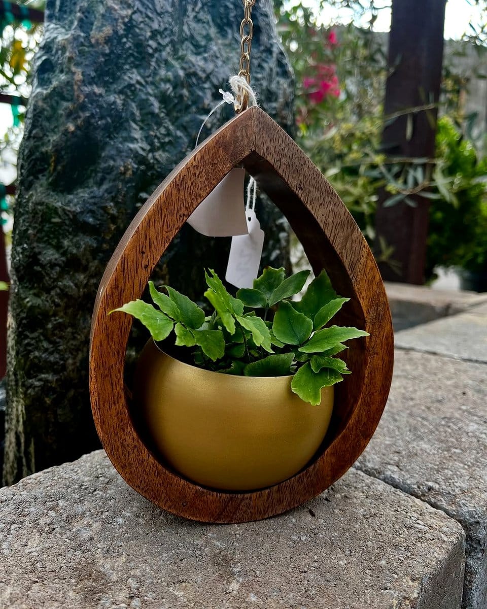 Bamboo wind chime plant hanger with tropical plants